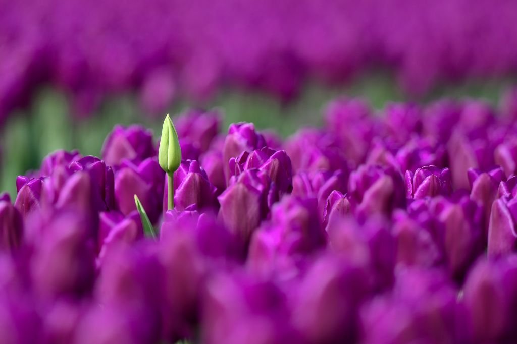 How can we relate to the concepts in Buddhism through observing the people and things around us? How can we learn and enrich our lives through these observations?