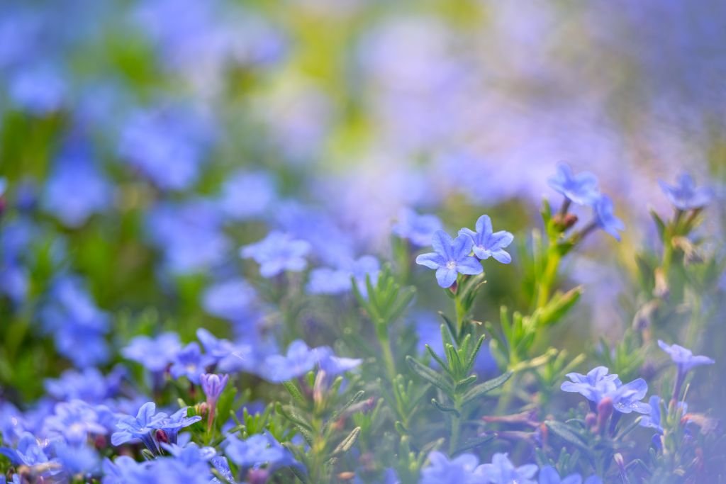 What is the purpose of a fixed meditation routine? Why not change it up a little? 