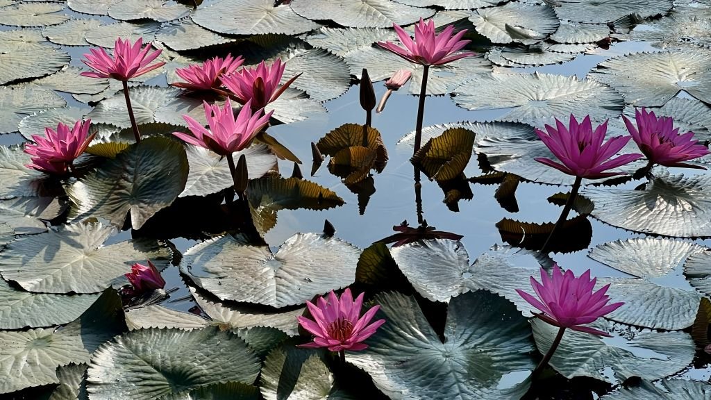 Does being mindful of one’s demeanor and using methods to experience bodily relaxation contradict each other?