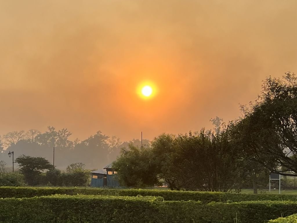 What factors might be contributing to the lack of progress in my meditation practice?