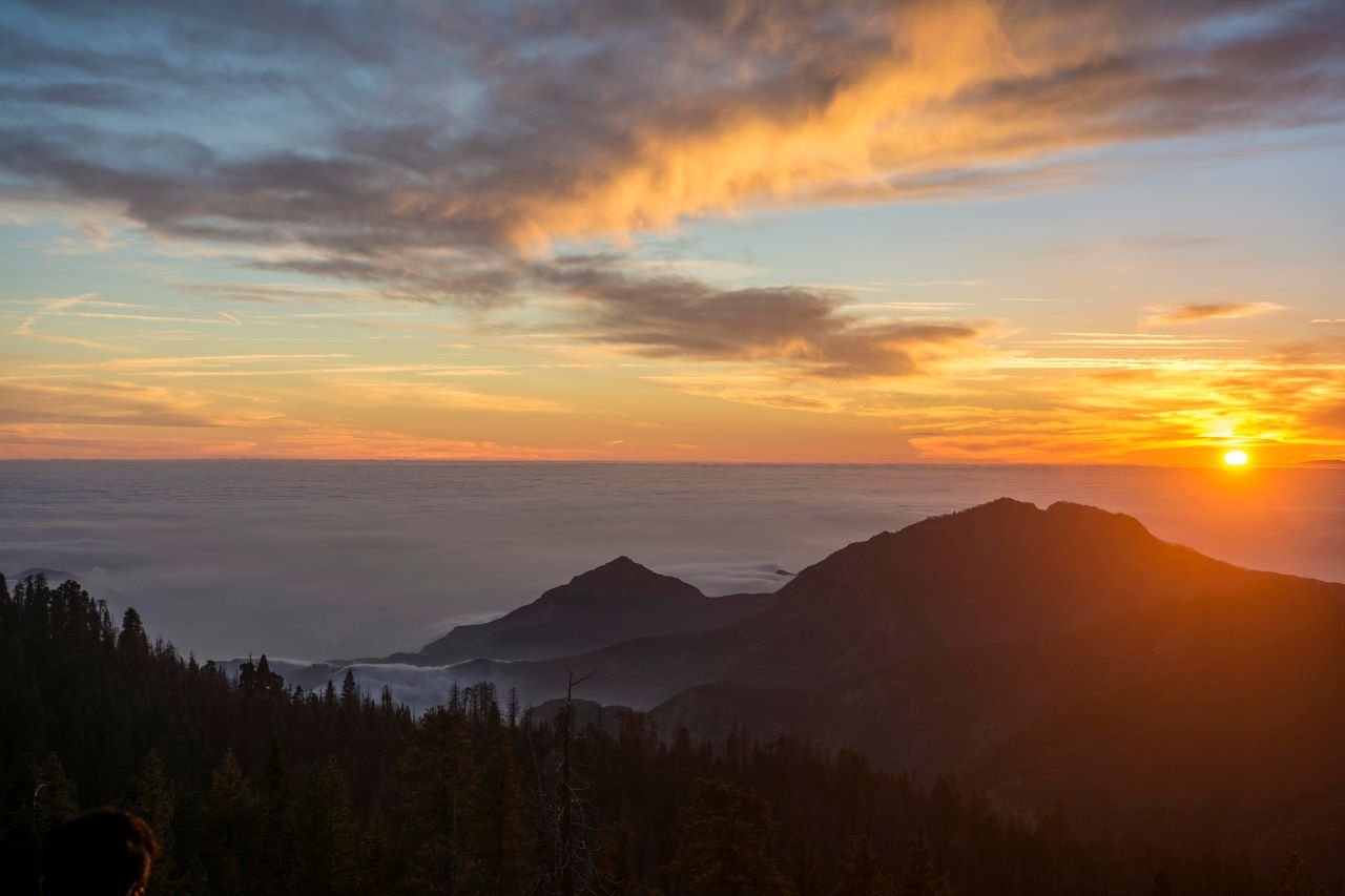 「放下的幸福」讀書會