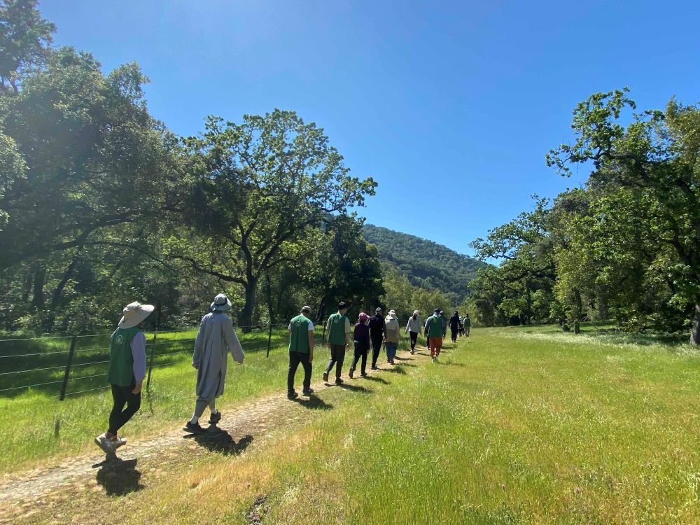 法鼓山戶外禪一心得分享