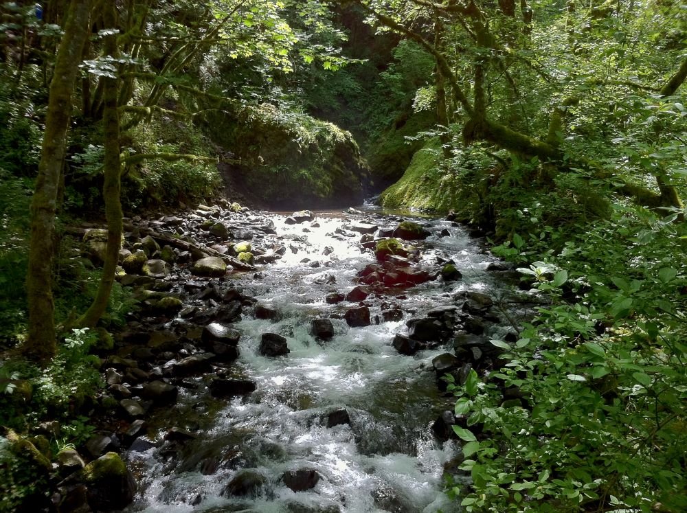法鼓山禪修體驗