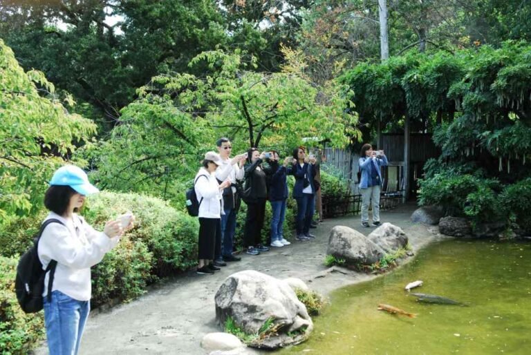 禪心慧眼看世界——攝影課心得